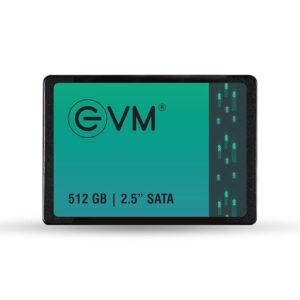 EVM 512GB 2.5-Inch SATA III