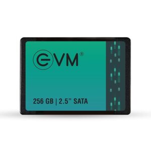 EVM 256GB 2.5-Inch SATA III