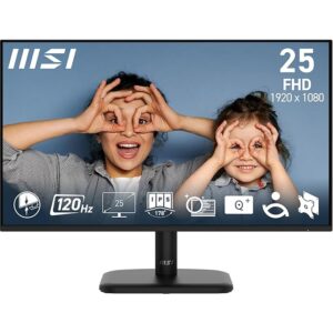 MSI PRO MP251L E2